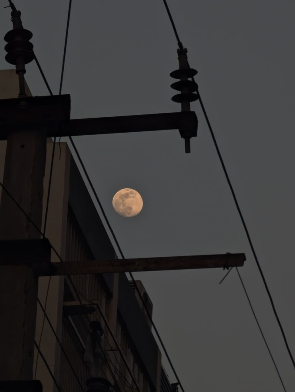 Moonlit Night